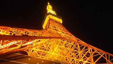 東京タワーに投稿された画像（2025/12/22）