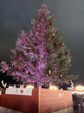 Christmas Market in 横浜赤レンガ倉庫 2025に投稿された画像（2025/12/22）