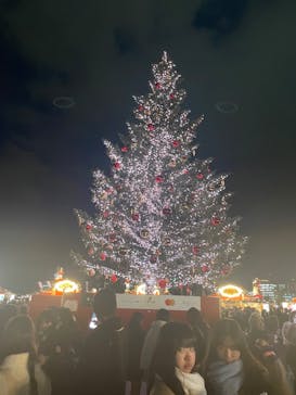 Christmas Market in 横浜赤レンガ倉庫 2025に投稿された画像（2025/12/22）
