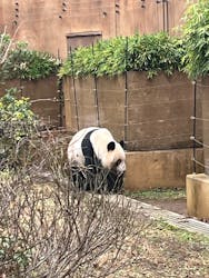 恩賜上野動物園に投稿された画像（2025/12/22）