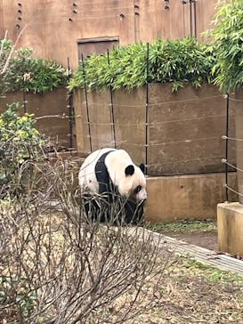 恩賜上野動物園に投稿された画像（2025/12/22）