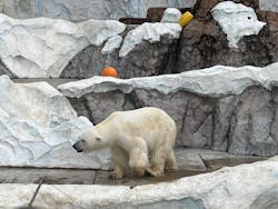 恩賜上野動物園に投稿された画像（2025/12/22）