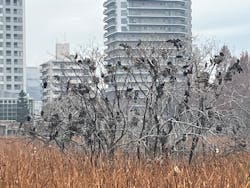 恩賜上野動物園に投稿された画像（2025/12/22）