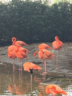 恩賜上野動物園に投稿された画像（2025/12/22）