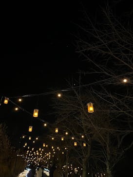 さがみ湖MORI MORIに投稿された画像（2025/12/22）