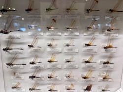 滋賀県立琵琶湖博物館に投稿された画像（2025/12/22）