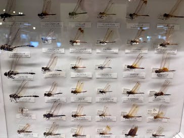 滋賀県立琵琶湖博物館に投稿された画像（2025/12/22）