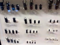 滋賀県立琵琶湖博物館に投稿された画像（2025/12/22）