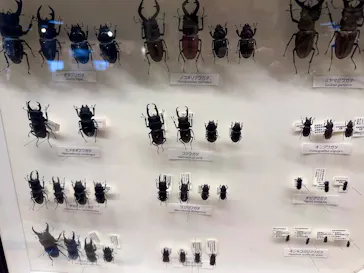 滋賀県立琵琶湖博物館に投稿された画像（2025/12/22）