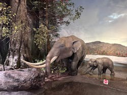 滋賀県立琵琶湖博物館に投稿された画像（2025/12/22）