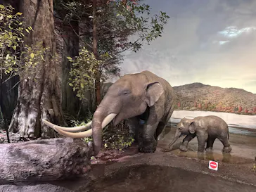 滋賀県立琵琶湖博物館に投稿された画像（2025/12/22）