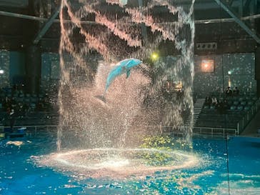 マクセル アクアパーク品川に投稿された画像（2025/12/22）