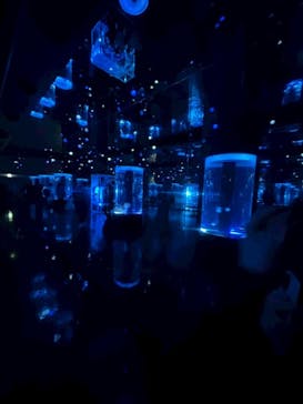 マクセル アクアパーク品川に投稿された画像（2025/12/22）