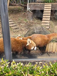 恩賜上野動物園に投稿された画像（2025/12/22）