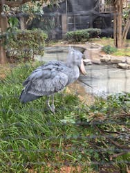 恩賜上野動物園に投稿された画像（2025/12/22）