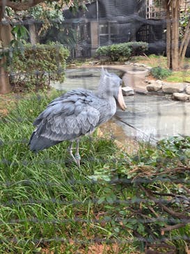 恩賜上野動物園に投稿された画像（2025/12/22）