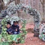 富士すばるランドに投稿された画像（2025/12/23）