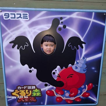 富士すばるランドに投稿された画像（2025/12/22）