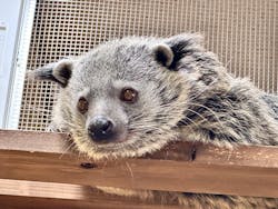 アニタッチ MARK IS 静岡に投稿された画像（2025/12/22）