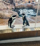 京都水族館に投稿された画像（2025/12/23）