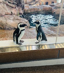 京都水族館に投稿された画像（2025/12/22）