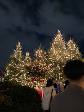Christmas Market in 横浜赤レンガ倉庫 2025に投稿された画像（2025/12/22）