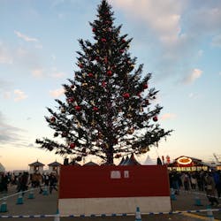 Christmas Market in 横浜赤レンガ倉庫 2025に投稿された画像（2025/12/22）