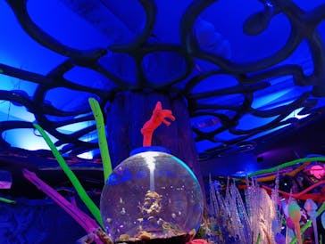 ひらかたパークに投稿された画像（2025/12/22）