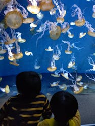 新江ノ島水族館に投稿された画像（2025/12/23）