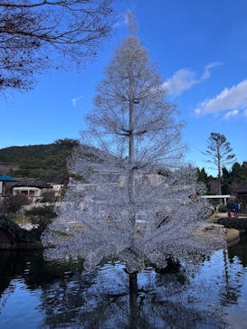 箱根ガラスの森美術館に投稿された画像（2025/12/23）
