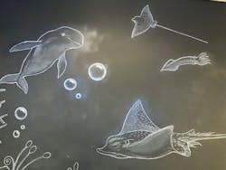 マリンワールド海の中道に投稿された画像（2025/12/23）