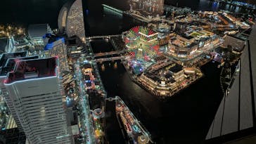 横浜ランドマークタワー 69階展望フロア スカイガーデンに投稿された画像（2025/12/23）