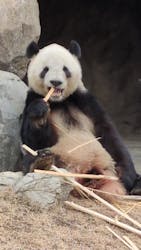 恩賜上野動物園に投稿された画像（2025/12/23）