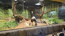 恩賜上野動物園に投稿された画像（2025/12/23）