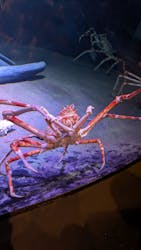 竹島水族館に投稿された画像（2025/12/23）