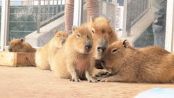 竹島水族館に投稿された画像（2025/12/23）