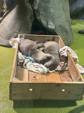 竹島水族館に投稿された画像（2025/12/23）