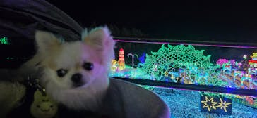 伊豆高原グランイルミに投稿された画像（2025/12/23）