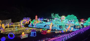 伊豆高原グランイルミに投稿された画像（2025/12/23）