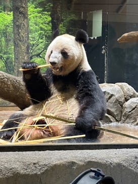 恩賜上野動物園に投稿された画像（2025/12/23）
