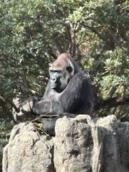 恩賜上野動物園に投稿された画像（2025/12/23）