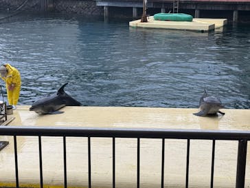 伊豆・三津シーパラダイスに投稿された画像（2025/12/23）