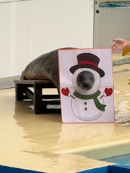 伊豆・三津シーパラダイスに投稿された画像（2025/12/23）