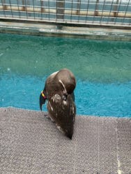 伊豆・三津シーパラダイスに投稿された画像（2025/12/23）