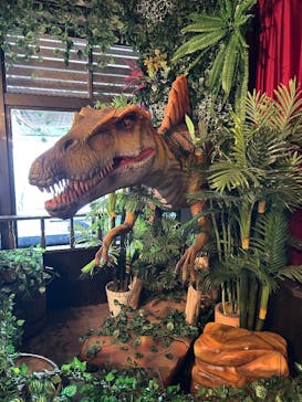 伊豆ぐらんぱる公園に投稿された画像（2025/12/23）