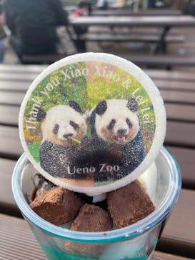 恩賜上野動物園に投稿された画像（2025/12/23）