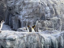 葛西臨海水族園に投稿された画像（2025/12/23）