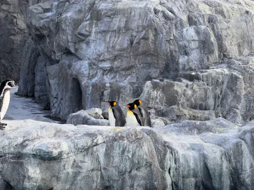 葛西臨海水族園に投稿された画像（2025/12/23）