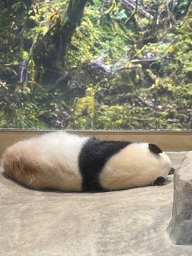 恩賜上野動物園に投稿された画像（2025/12/23）