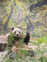 恩賜上野動物園に投稿された画像（2025/12/23）